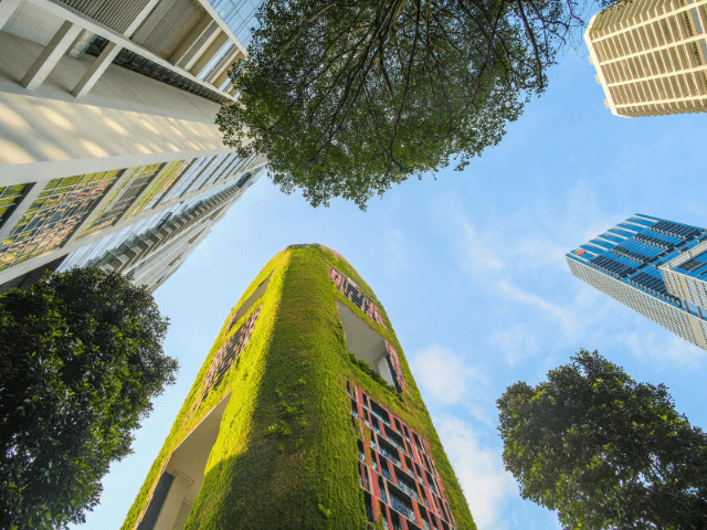 Tendências em construções com cimento cimenfort angola